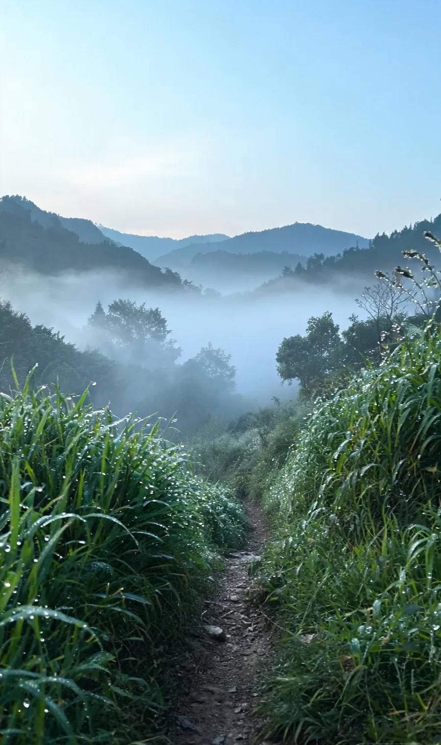山间薄雾中的小路